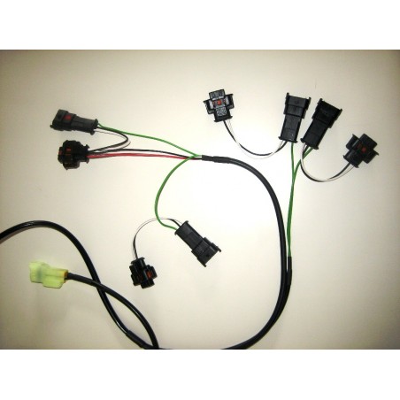 iQSE-Kit Cablaggio HEALTECH HT-QSH-P4G MV-AGUSTA F4 1000 RR 1000 12 12