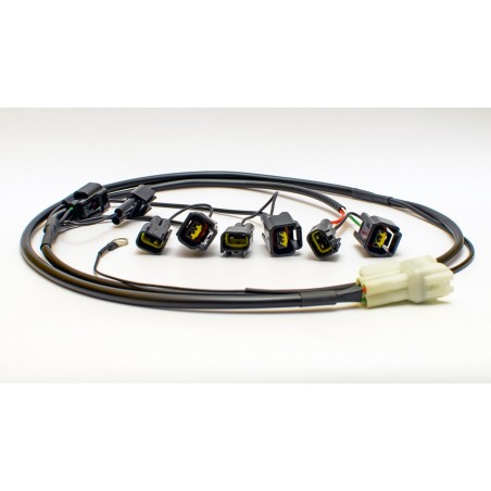 iQSE-Kit Cablaggio HEALTECH HT-QSH-F2C APRILIA Futura 1000 01 04