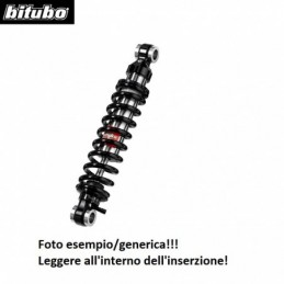 SC169WZB02 MONO posteriore...