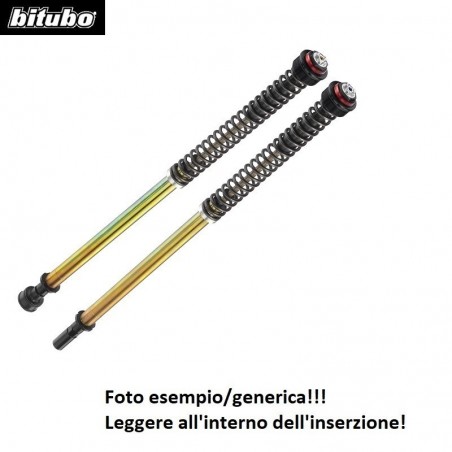 A0050JBH01V1WO CARTUCCIA presuriz. BITUBO APRILIA TUONO 660 21-