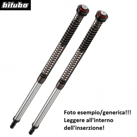 BW037JBH01V2 Cartuccia BITUBO BMW F 800 GS 08 12