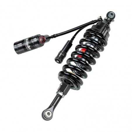 BW022CLU32 Mono BITUBO BMW R850R NO ABS 94 02