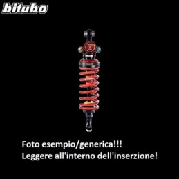 S0093XXZB1 MONO posteriore...