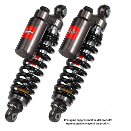 T0031WMT72V2 COPPIA posteriore BITUBO TRIUMPH STREET CUP 17 20