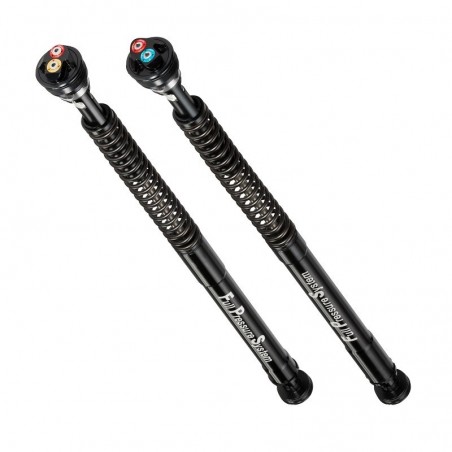 T0035EBH59 Cartuccia BITUBO TRIUMPH STREET TRIPLE 765 RS 20-