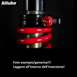 Y0148XZE31 MONO posteriore...