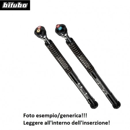 Y0162EBH09 CARTUCCIA presuriz. reg. BITUBO YAMAHA XSR 900 22-