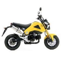 Cerca gli accessori e ricambi per la tua Honda MSX 125 all year 